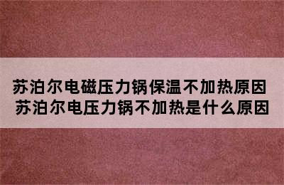 苏泊尔电磁压力锅保温不加热原因 苏泊尔电压力锅不加热是什么原因